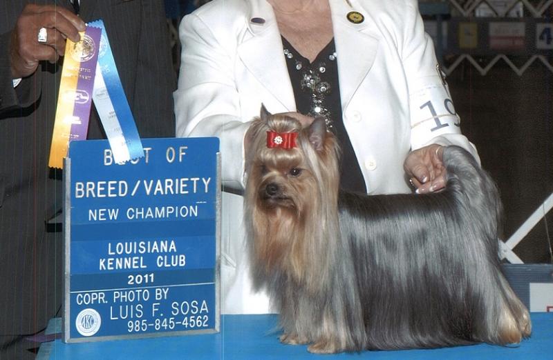 Ricky Championship Picture